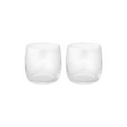 Stelton Foster juomalasi, 2-pakkaus 20 cl