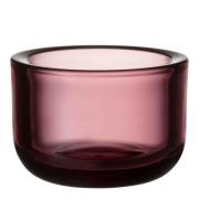 iittala - Valkea Kynttilälyhty 6 cm Kanerva