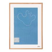 iittala - Alvar Aalto Juliste Luonnos 50x70 cm Sininen