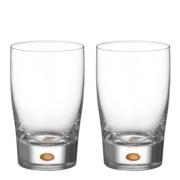 Orrefors - Intermezzo Kulta Tumbler Lasi 25 cl 2 kpl