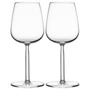 iittala - Senta Valkoviinilasi 29 cl 2 kpl