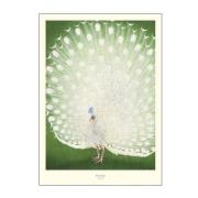 Poster & Frame - A.P. Atelier Juliste 50x70 cm Peacock