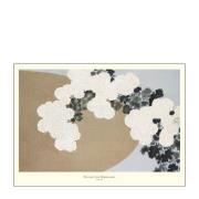 Poster & Frame - A.P. Atelier Juliste 50x70 cm Blossom from momoyogusa