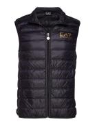 Outerwear Liivi Black EA7