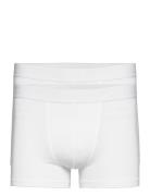 Mutlipack Boxer Brief Modal Bokserit White Bread & Boxers