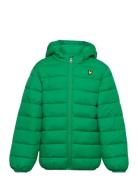 Puffa Jacket Toppatakki Green Lyle & Scott Junior