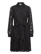 Pixi Shirt Dress Lace Lyhyt Mekko Black Noella