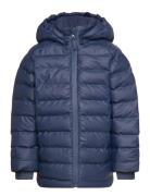 Pu Winter Jacket Toppatakki Blue CeLaVi