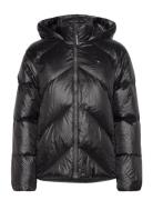 Chevron Lw Down Jacket Vuorillinen Takki Topattu Takki Black Tommy Hil...