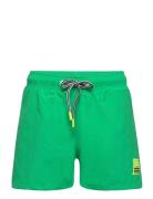 Niko Solid Uimashortsit Green Molo