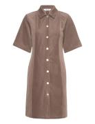 Srmeggy Dress Lyhyt Mekko Brown Soft Rebels