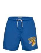 Swimming Short Uimashortsit Blue Kenzo