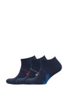 Big Pony Sock 3-Pack Nilkkasukat Lyhytvartiset Sukat Blue Polo Ralph L...