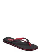 Eva-Bolt-Sn-Csl Flipflopit Rantasandaalit Sandaalit Black Polo Ralph L...