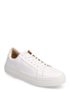 Shame Leather Shoe Matalavartiset Sneakerit Tennarit White Sneaky Stev...