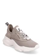 Match-E Sneaker Matalavartiset Sneakerit Tennarit Beige Steve Madden