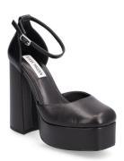 Tamy Sandal Korolliset Sandaalit Black Steve Madden