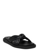 Allistar Sandal Matalapohjaiset Sandaalit Black Steve Madden