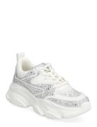 Jprivy Sneaker Matalavartiset Sneakerit Tennarit White Steve Madden