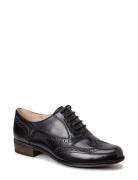 Hamble Oak D Nauhakengät Matalapohjaiset Kengät Black Clarks