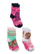 Socks Sukat Multi/patterned Paw Patrol