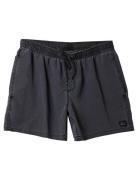 Everyday Surfwash Volley 15 Uimashortsit Black Quiksilver