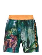 Swimming Shorts Uimashortsit Multi/patterned Jurassic World