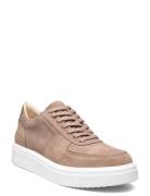 Flynn Sneaker Matalavartiset Sneakerit Tennarit Beige Steve Madden