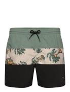 Mix & Match Cali Block 15'' Swim Shorts Uimashortsit Blue O'neill