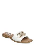 Gene Sandal Matalapohjaiset Sandaalit White Steve Madden