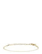 Elan Flat Chain Bracelet G Rannekoru Korut Gold Daniel Wellington