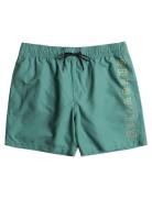 All Day Heritage Lb Uimashortsit Green Billabong