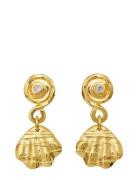 Conca Earring Korvakoru Korut Gold Maanesten