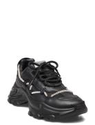 Miracles Sneaker Matalavartiset Sneakerit Tennarit Black Steve Madden