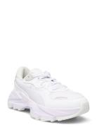 Orkid Ii Pure Luxe Wns Matalavartiset Sneakerit Tennarit White PUMA