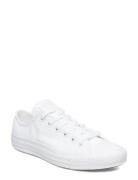 Chuck Taylor All Star Seasonal Sport Sneakers Low-top Sneakers White C...