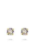 Classic Stud Earring Gold Accessories Jewellery Earrings Studs Gold Ca...