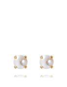 Classic Stud Earring Gold Accessories Jewellery Earrings Studs Gold Ca...