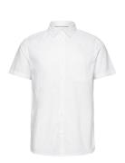 Inglow Tops Shirts Short-sleeved White INDICODE