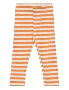 Sgissey Yd Striped Leggings Acorn Bottoms Leggings Orange Soft Gallery