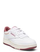 Club C Double Sport Sneakers Low-top Sneakers White Reebok Classics