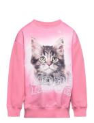 Monti Tops Sweat-shirts & Hoodies Sweat-shirts Pink Molo