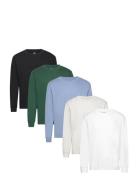 Hco. Guys Knits Tops T-shirts Long-sleeved Blue Hollister