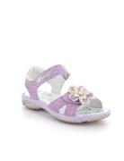 Pbr 58855 Shoes Summer Shoes Sandals Purple Primigi