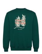 Lungs Sweatshirt Tops Sweat-shirts & Hoodies Sweat-shirts Green Makia