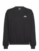 Millersburg Sweatshirt W Tops Sweat-shirts & Hoodies Sweat-shirts Blac...