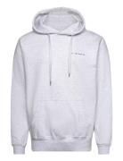 Heavyweight Organic Logo Hoodie - Ash Tops Sweat-shirts & Hoodies Hood...