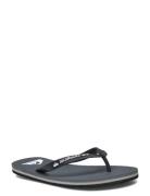 Molokai Core Flipflopit Rantasandaalit Sandaalit Grey Quiksilver