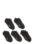 Ankle Sock Low Cut Sukat Black Minymo