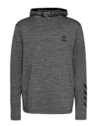 Hmlaston Hoodie Sport Sweat-shirts & Hoodies Hoodies Grey Hummel